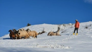 Tunceli'nin köylerinde sıkıca kış koşulları yaşamı negatif etkiliyor